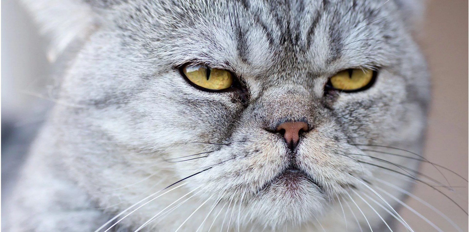 Projektvorbereitung